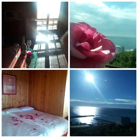 Villa Golden Sands 招待所